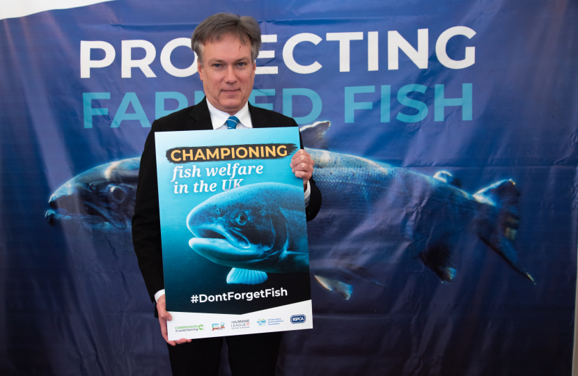 Henry Smith MP backs Legal Protection for Farmed Fish at the time of Slaughter