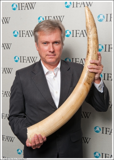 Henry Smith MP backs UK Ivory Surrender to Protect Elephants